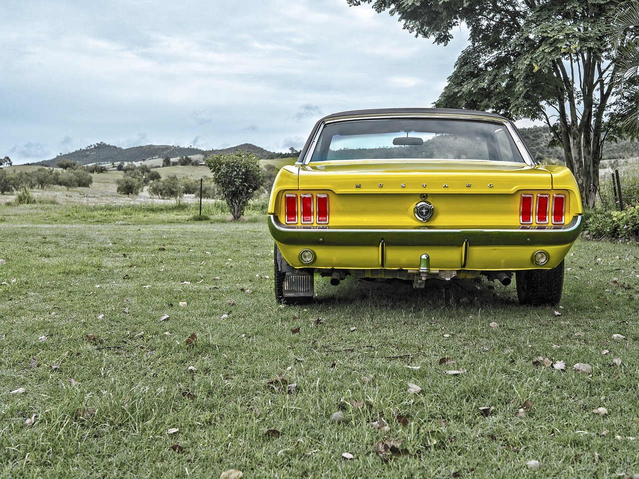 carvertical vehicle history